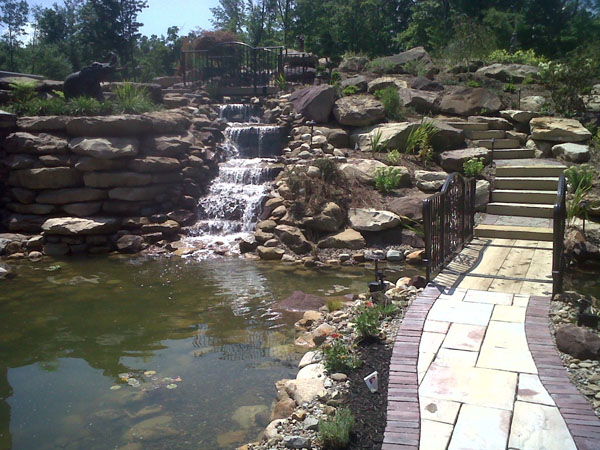 Large Koi Pond with Wrought Iron Bridge